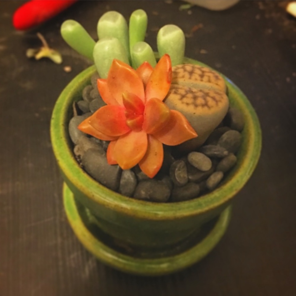 Reformation dress trade!